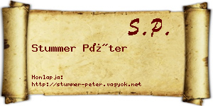 Stummer Péter névjegykártya